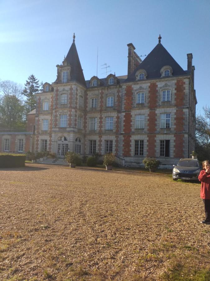 Chateau De Rocheux Freteval Εξωτερικό φωτογραφία